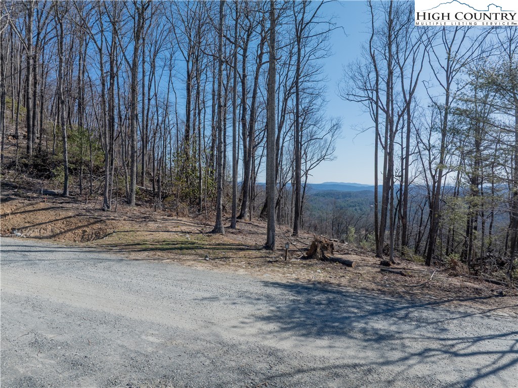 Lot 69 Angelfire Trail Property Photo 15