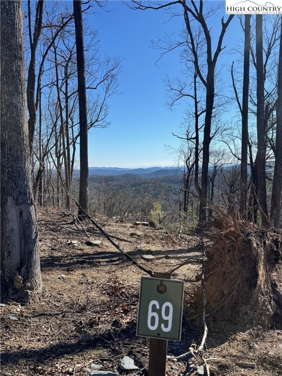 Lot 69 Angelfire Trail Property Photo 16