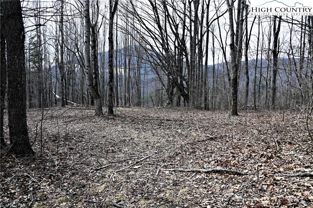 Lot #10 Solitude Lane Property Photo 2
