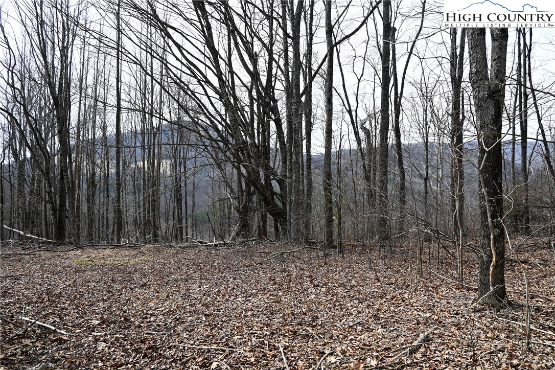 Lot #10 Solitude Lane Property Photo 3
