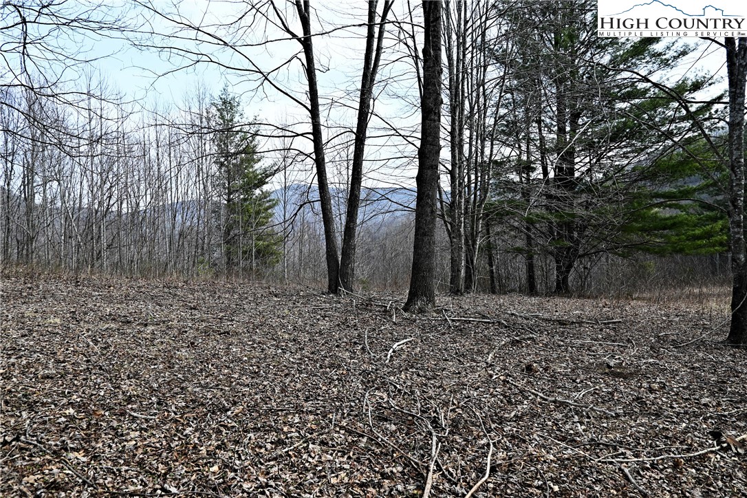 Lot #10 Solitude Lane Property Photo 4