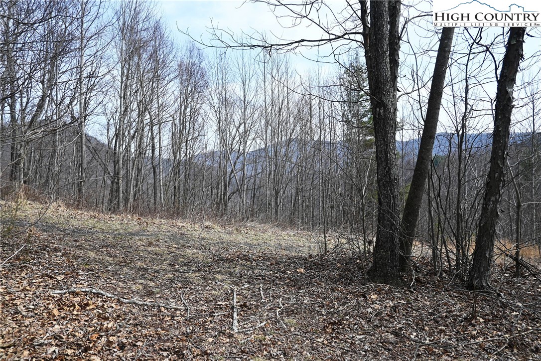 Lot #10 Solitude Lane Property Photo 5