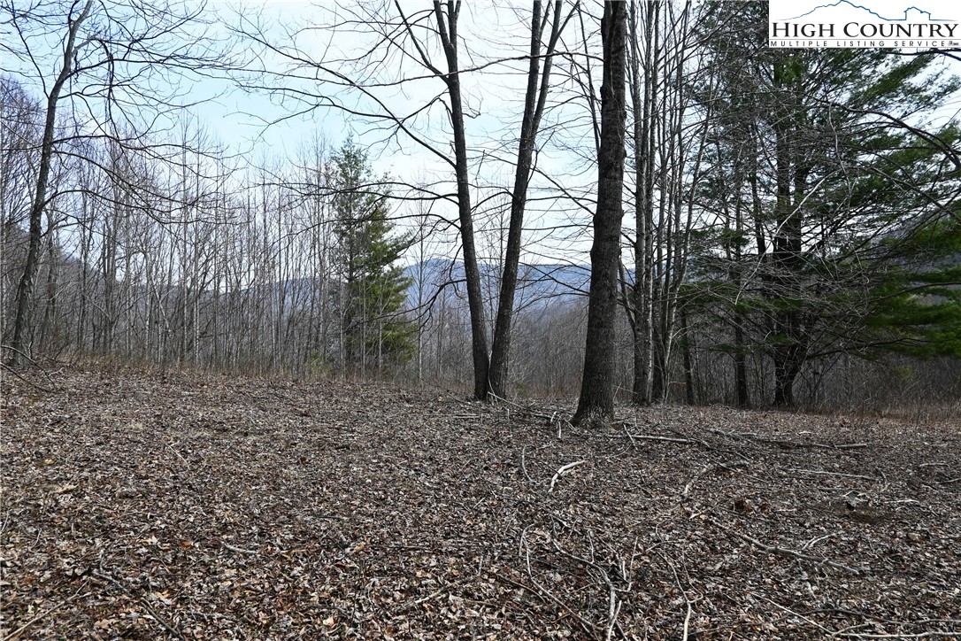Lot #10 Solitude Lane Property Photo 6