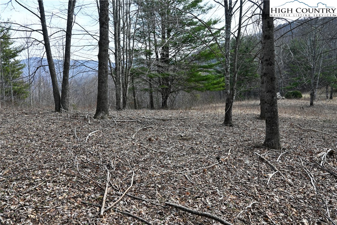 Lot #10 Solitude Lane Property Photo 7