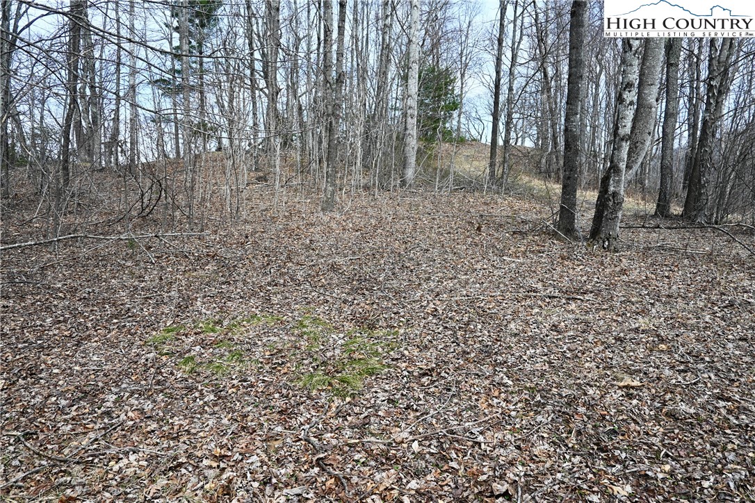 Lot #10 Solitude Lane Property Photo 8