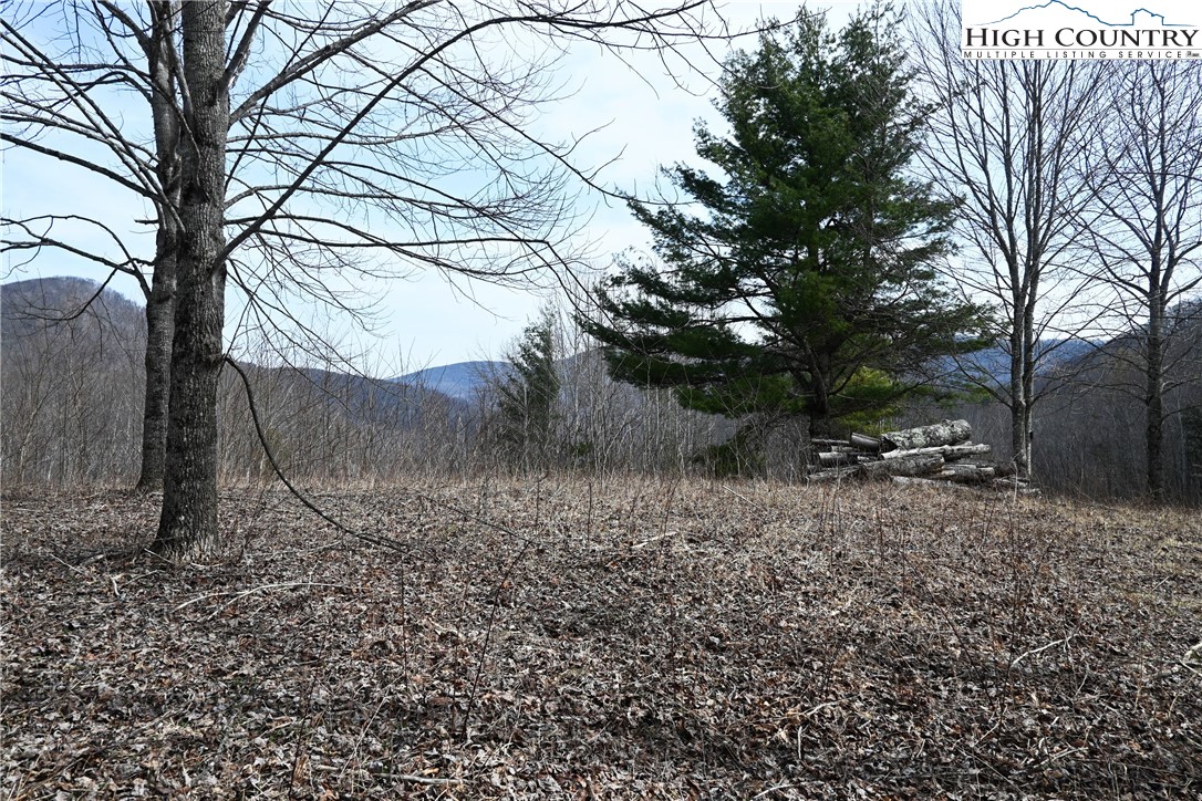 Lot #10 Solitude Lane Property Photo 9