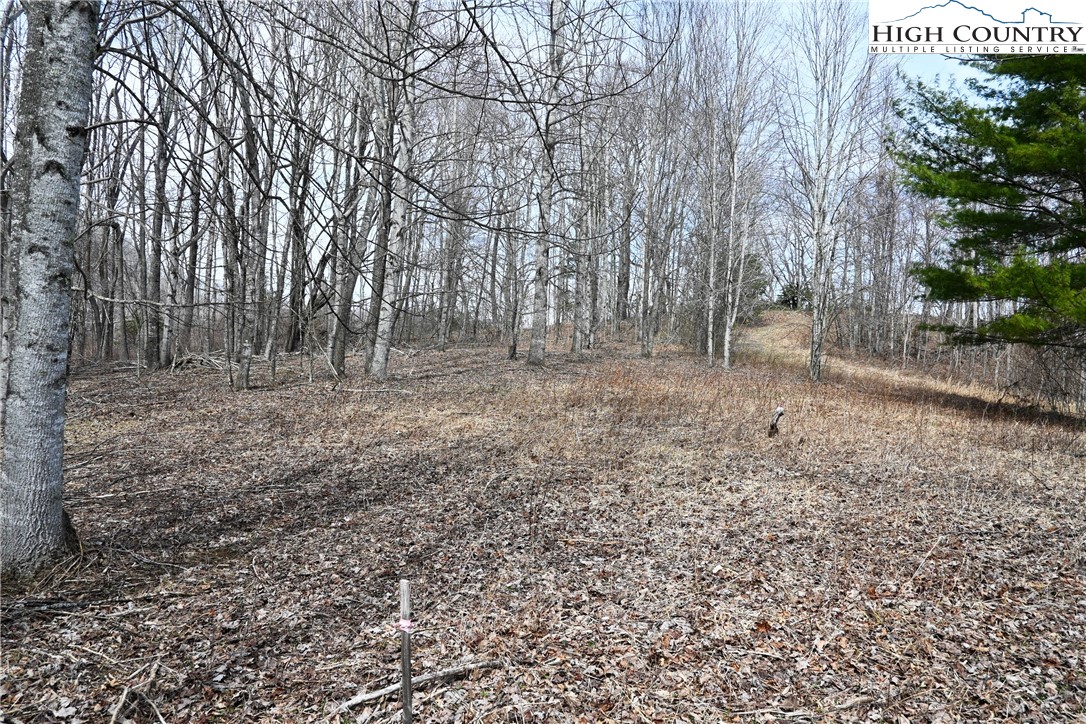 Lot #10 Solitude Lane Property Photo 10