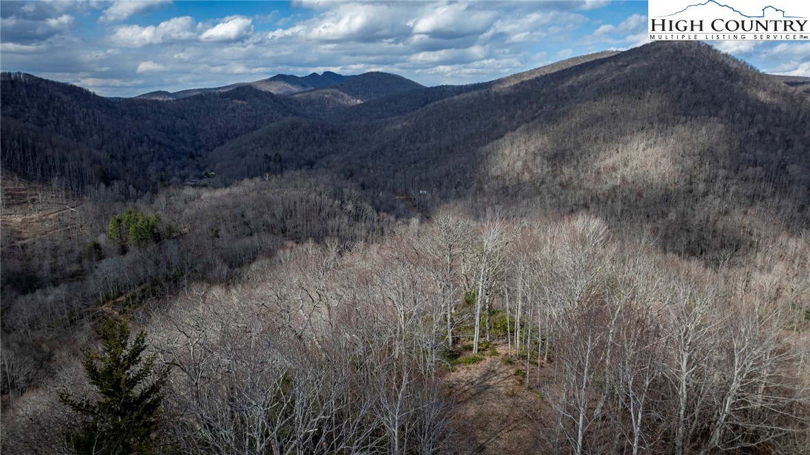 Lot #10 Solitude Lane Property Photo 11