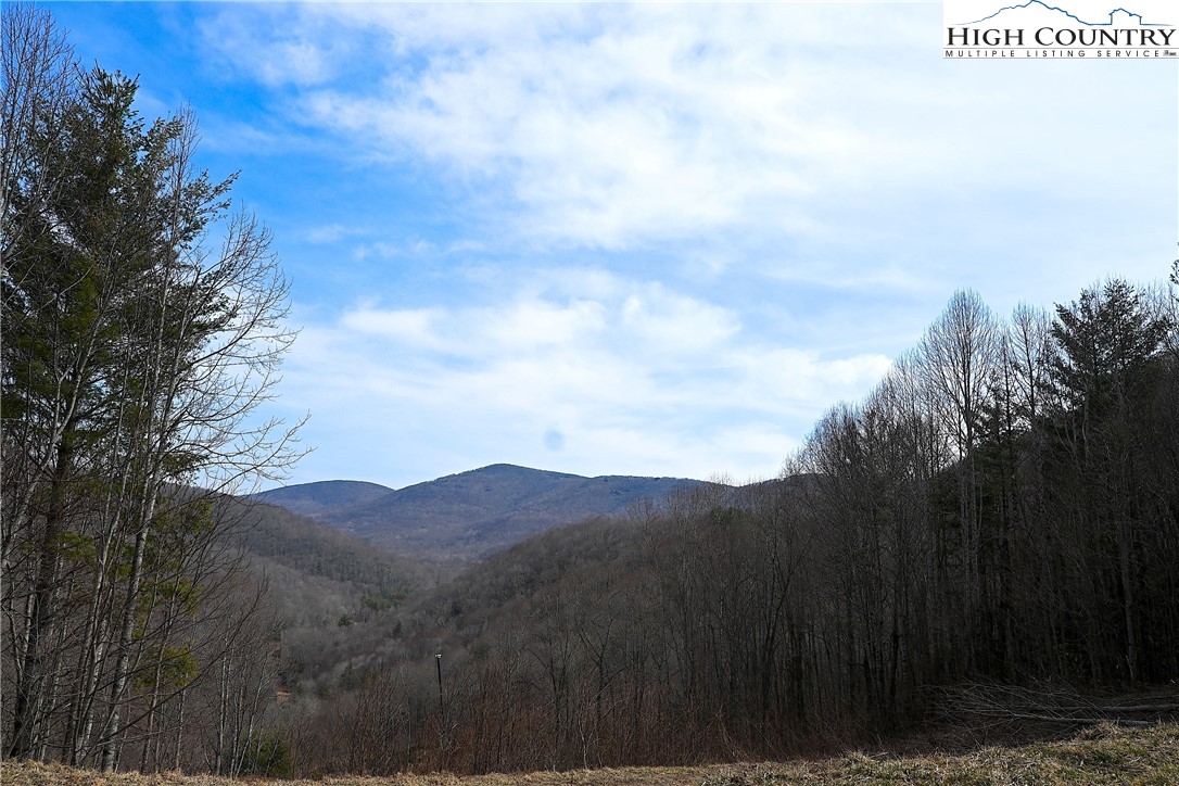Lot #10 Solitude Lane Property Photo 12