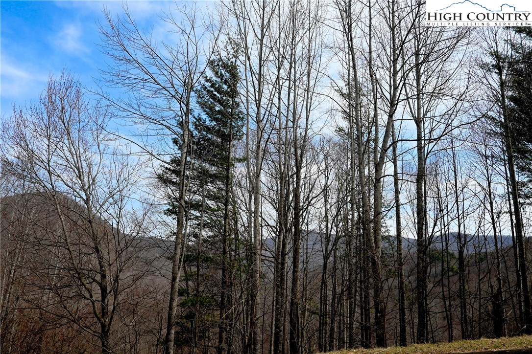 Lot #10 Solitude Lane Property Photo 13