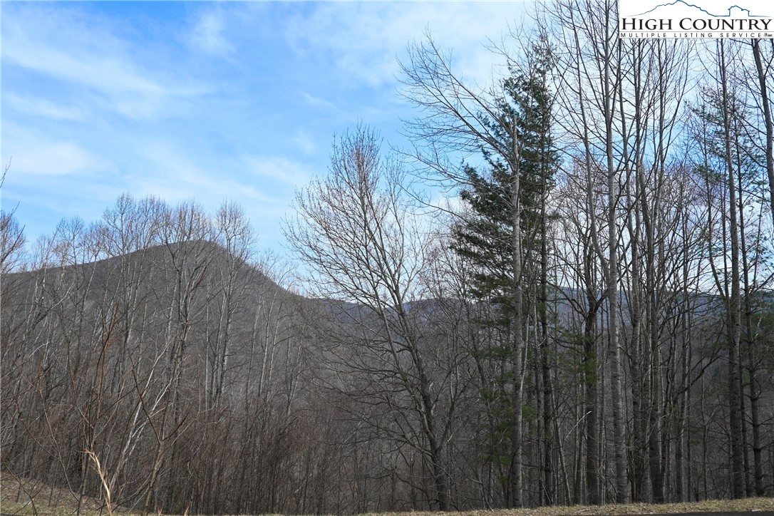 Lot #10 Solitude Lane Property Photo 15