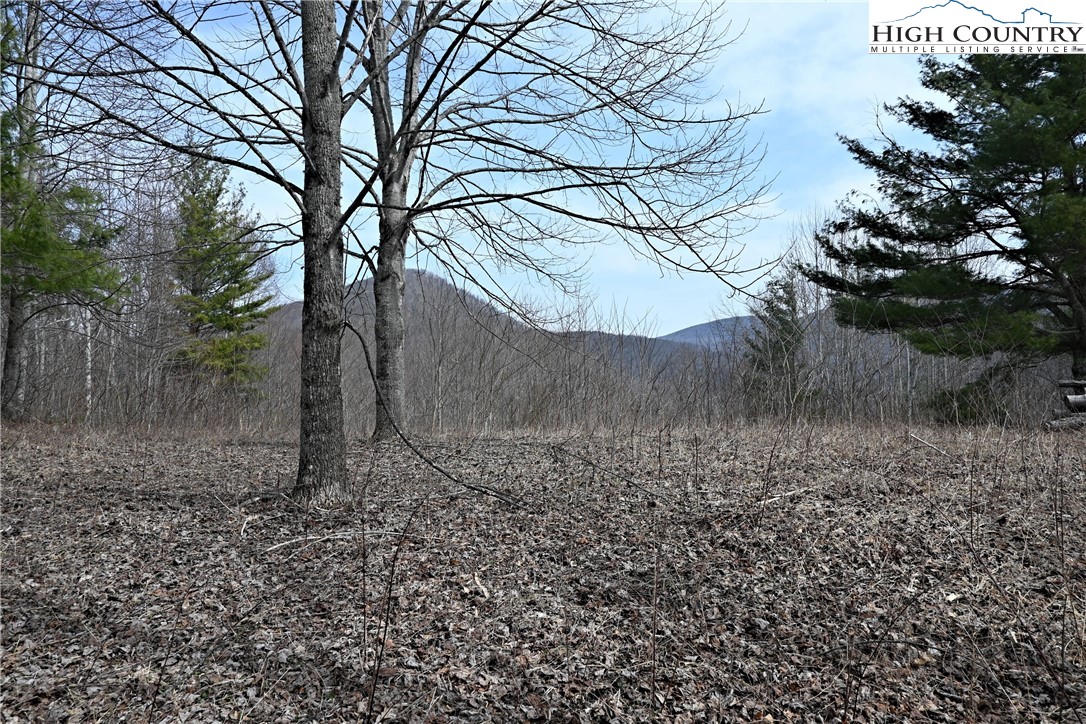 Lot #10 Solitude Lane Property Photo 16