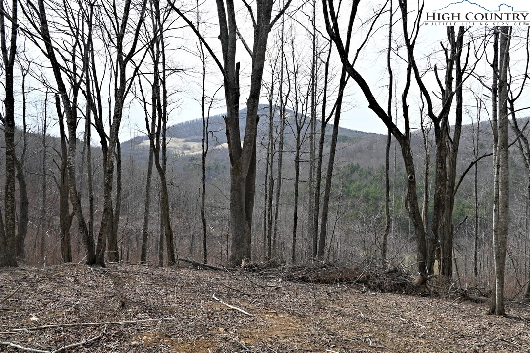 Lot #10 Solitude Lane Property Photo 17