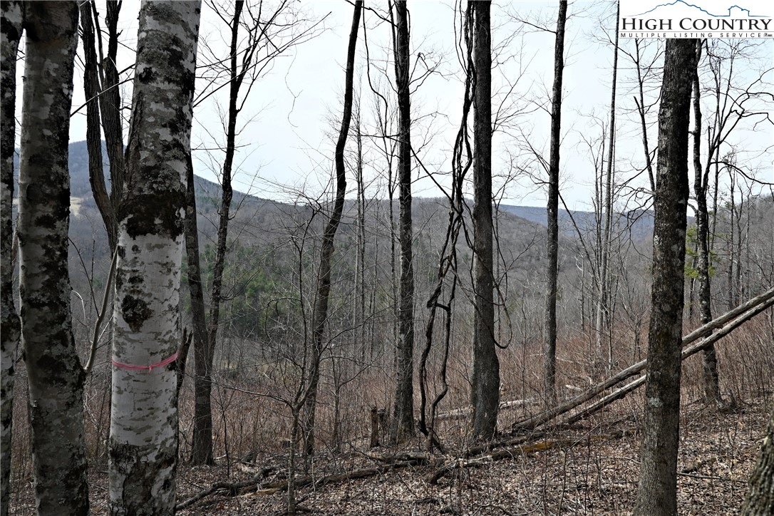 Lot #10 Solitude Lane Property Photo 18