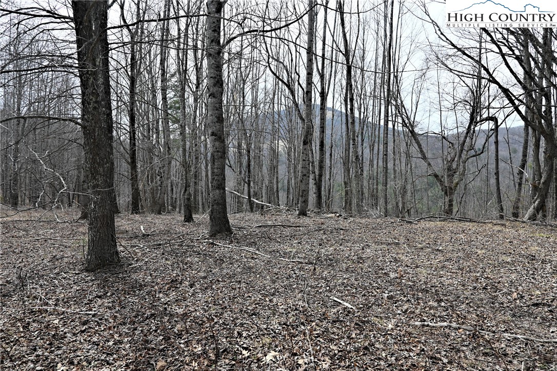 Lot #10 Solitude Lane Property Photo 19