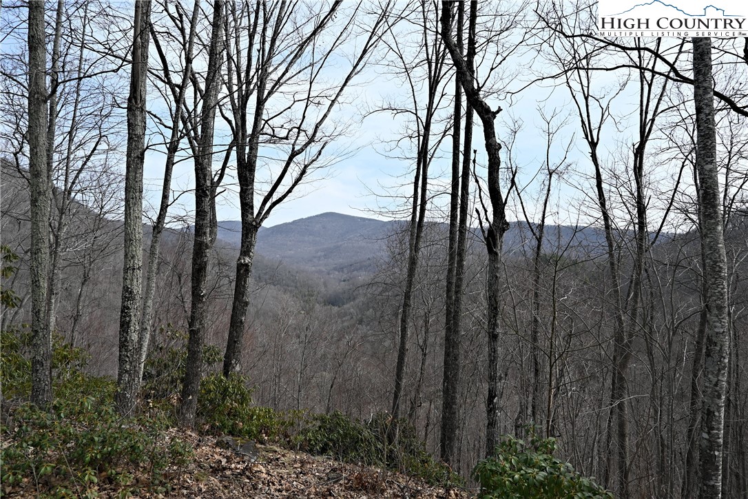 Lot #10 Solitude Lane Property Photo 20