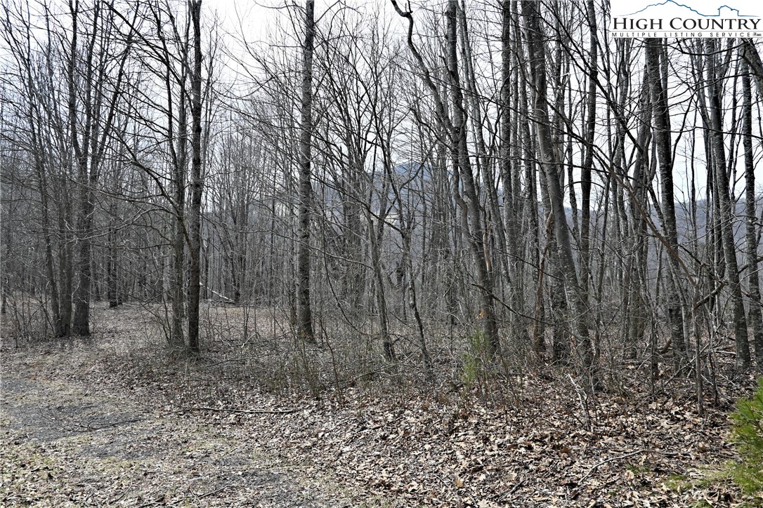 Lot #10 Solitude Lane Property Photo 21
