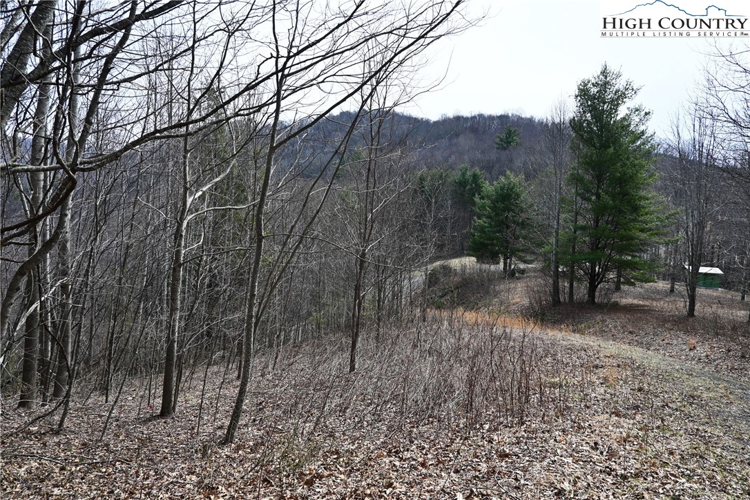 Lot #10 Solitude Lane Property Photo 22