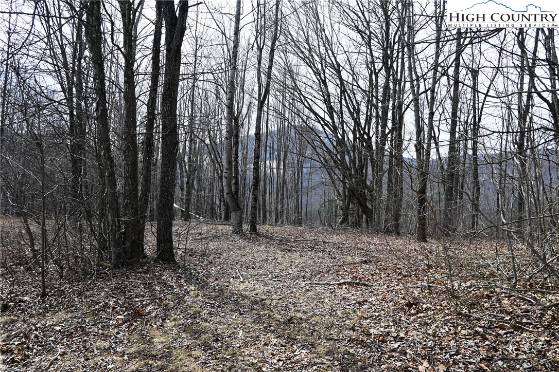 Lot #10 Solitude Lane Property Photo 23