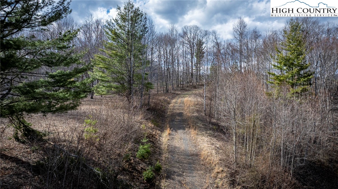 Lot #10 Solitude Lane Property Photo 34