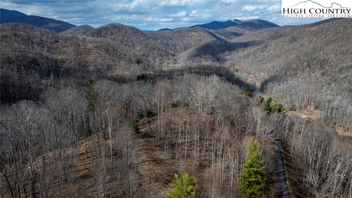 Lot #10 Solitude Lane Property Photo 35