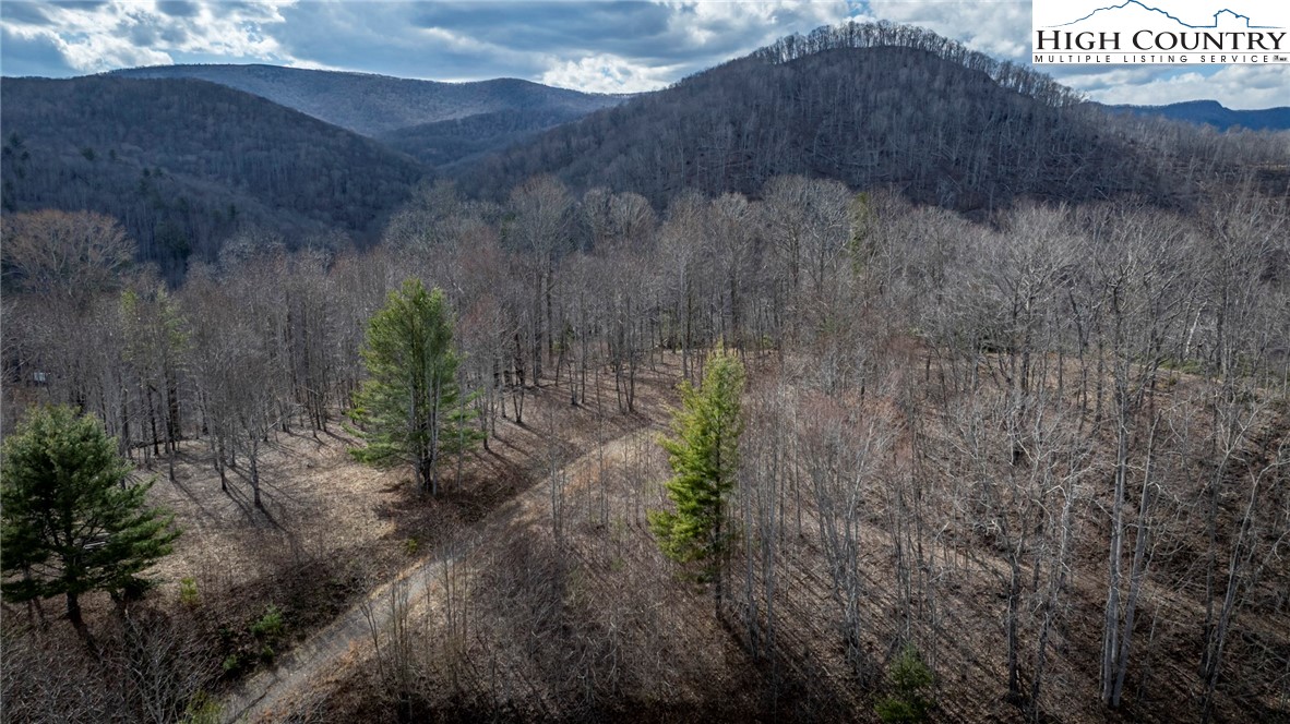 Lot #10 Solitude Lane Property Photo 40