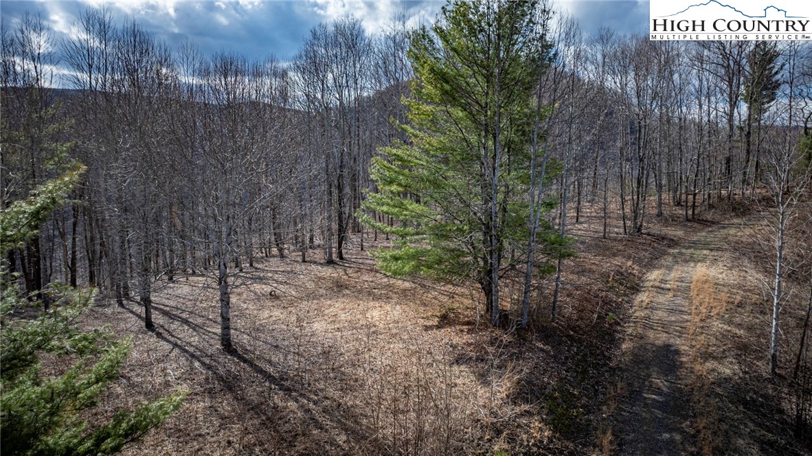 Lot #10 Solitude Lane Property Photo 41