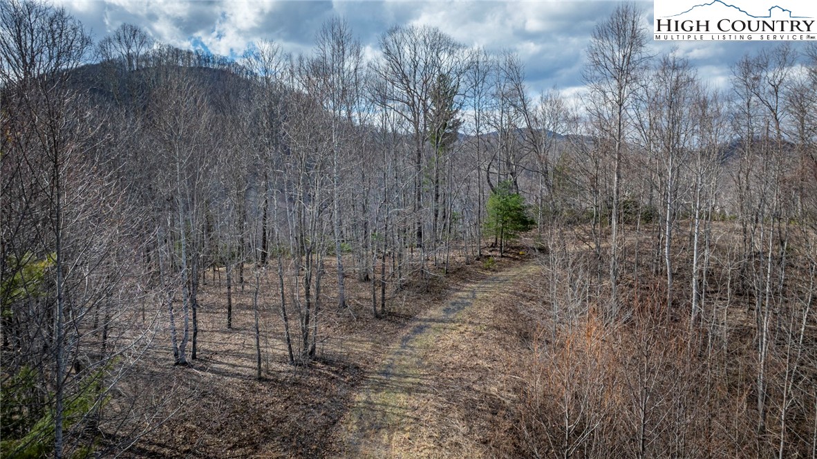 Lot #10 Solitude Lane Property Photo 42