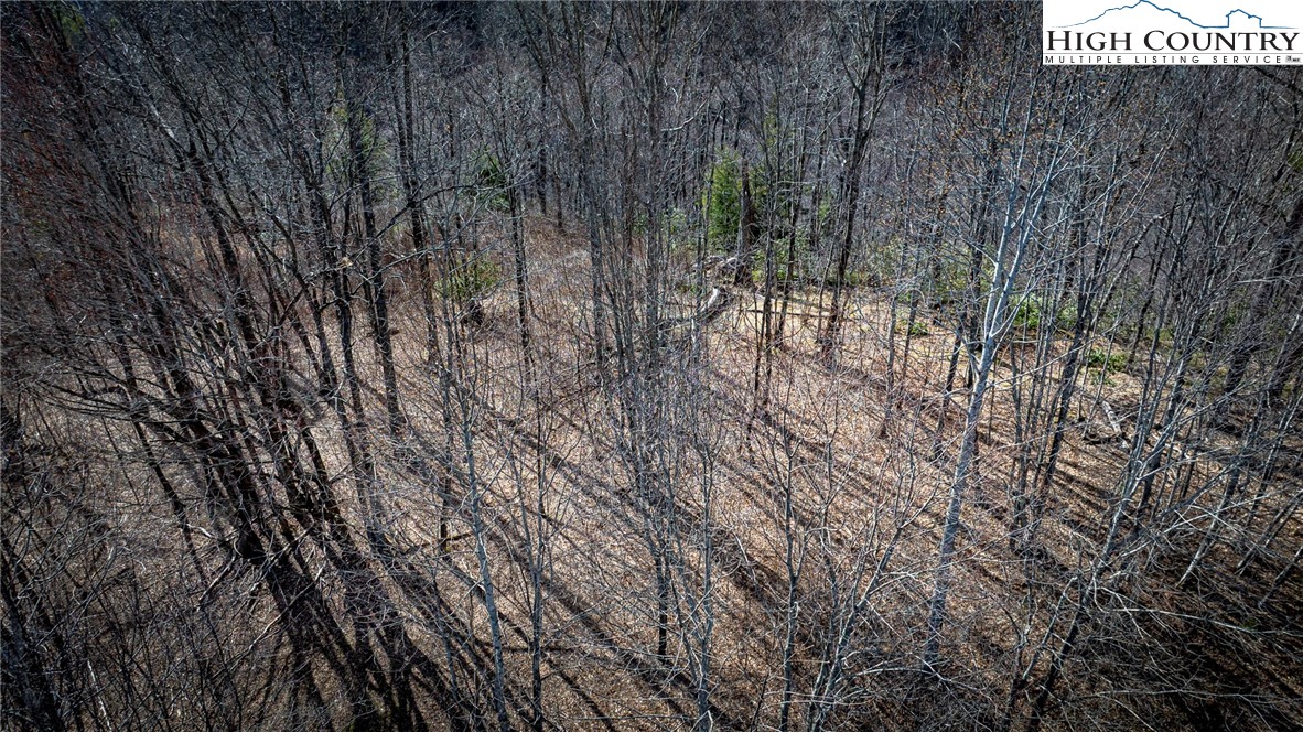 Lot #10 Solitude Lane Property Photo 43