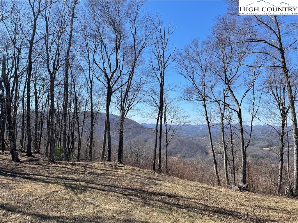 Tbd Lot #4 Olde Stone Ridge Property Photo 19