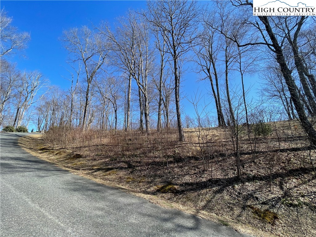Tbd Lot #4 Olde Stone Ridge Property Photo 20