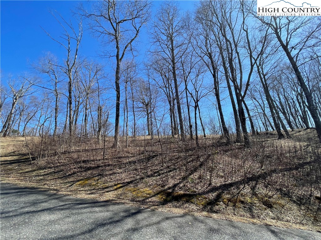 Tbd Lot #4 Olde Stone Ridge Property Photo 21