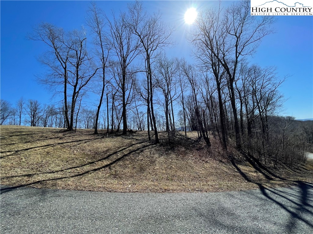Tbd Lot #4 Olde Stone Ridge Property Photo 22