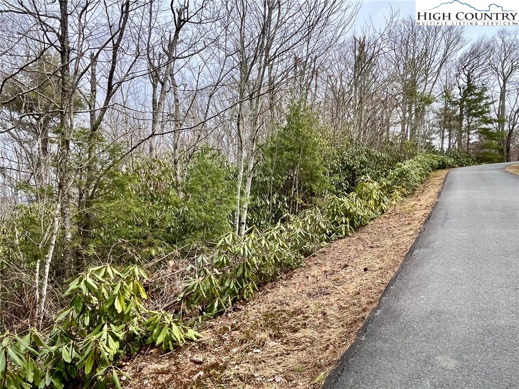 TBD Chestnut Mountain Road