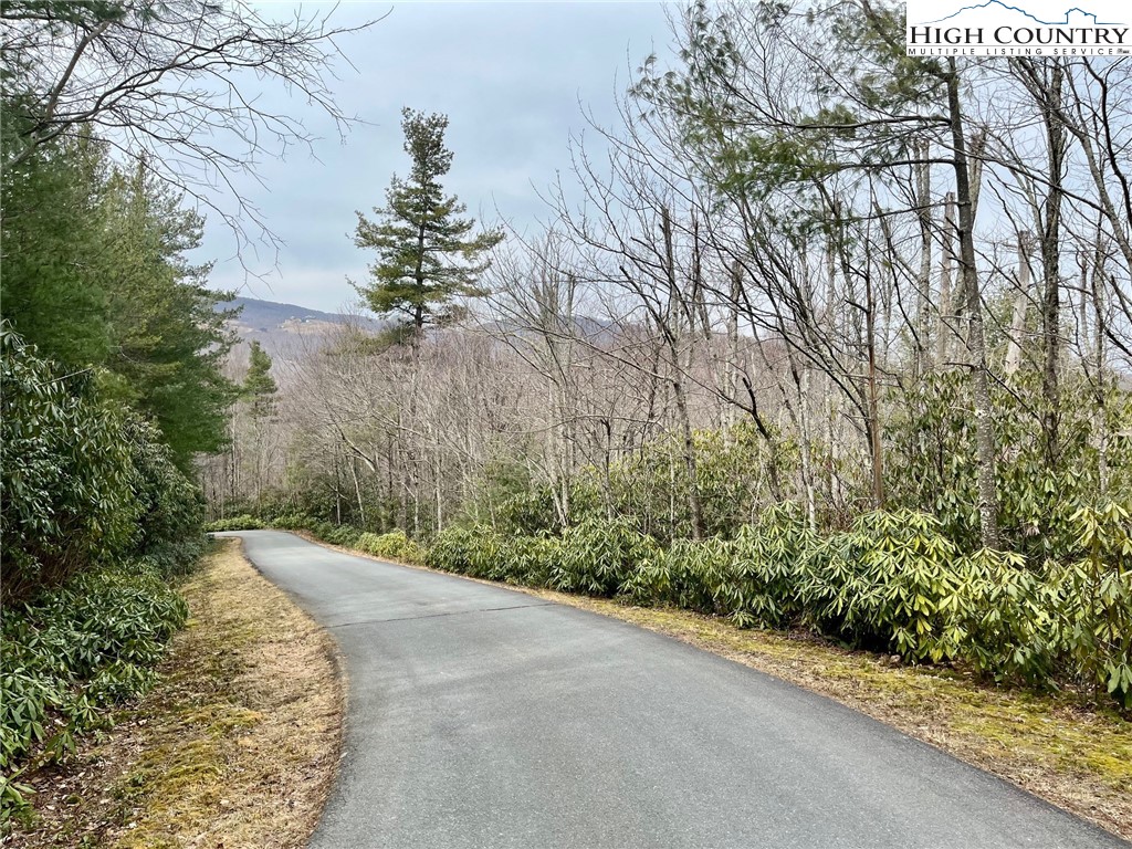 Tbd Chestnut Mountain Road Property Photo 2