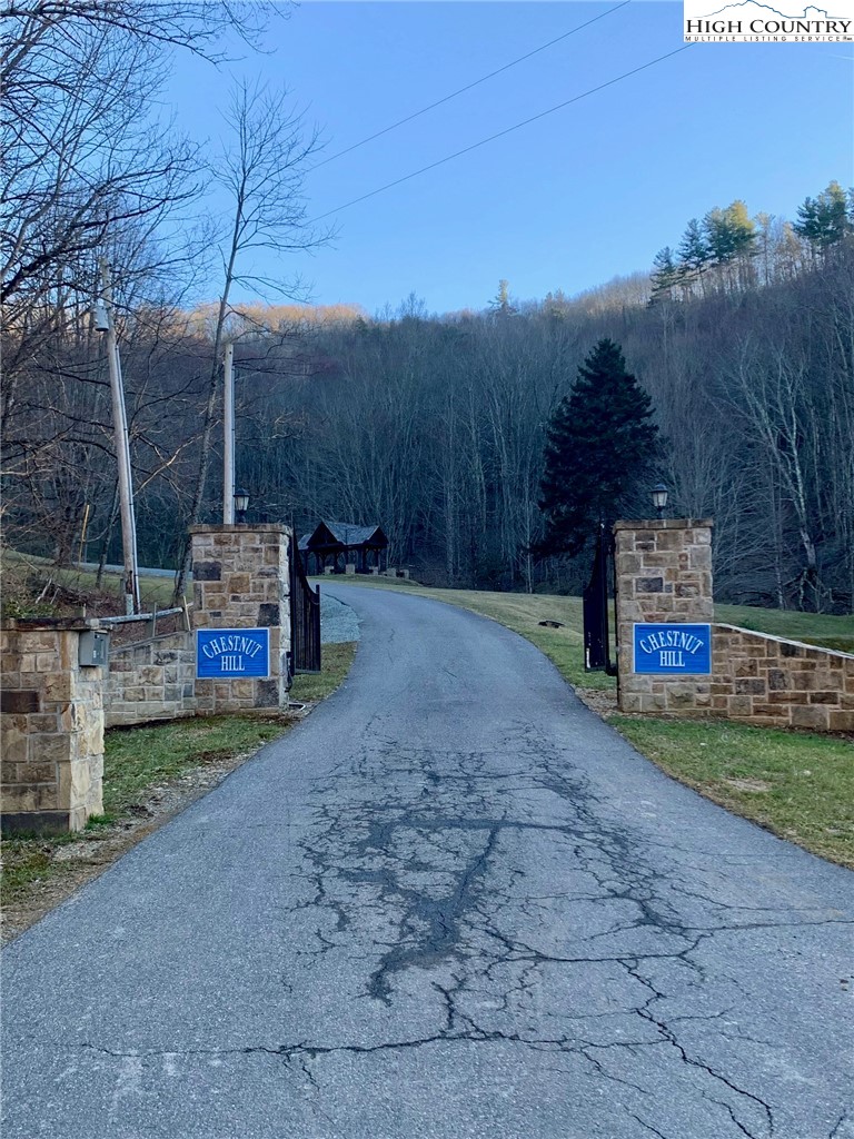 Tbd Chestnut Mountain Road Property Photo 3