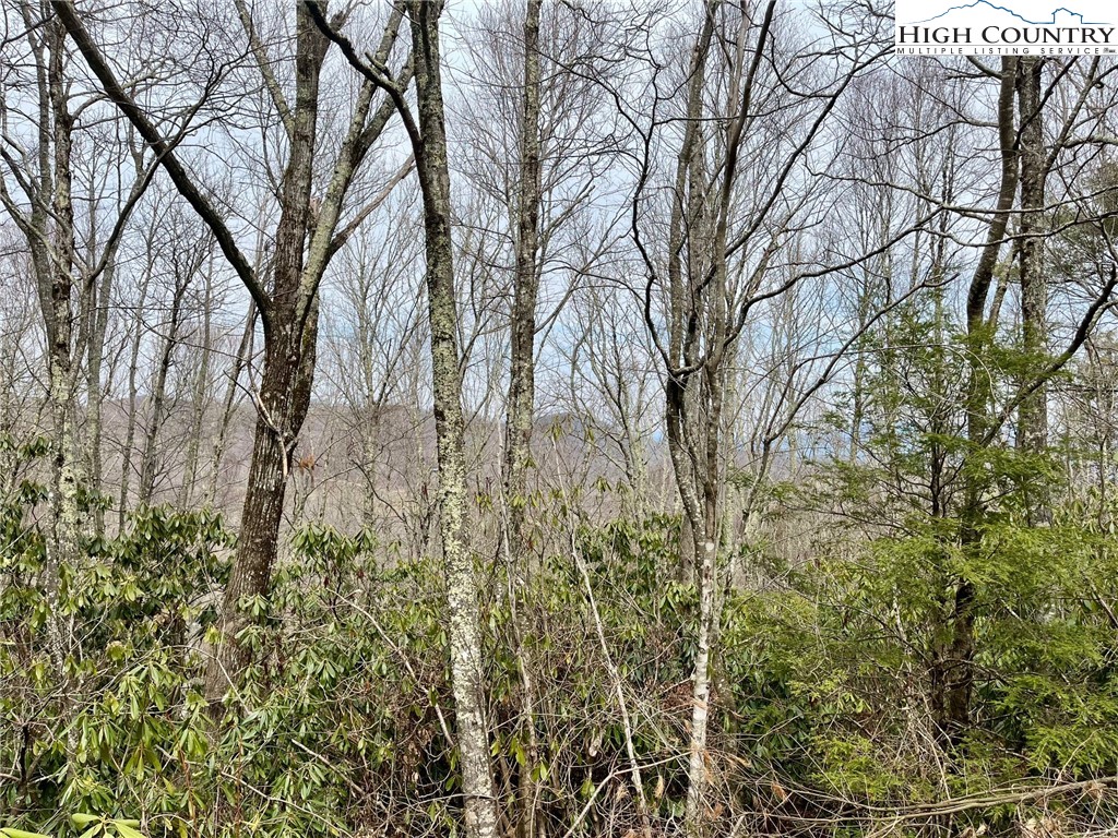 Tbd Chestnut Mountain Road Property Photo 7