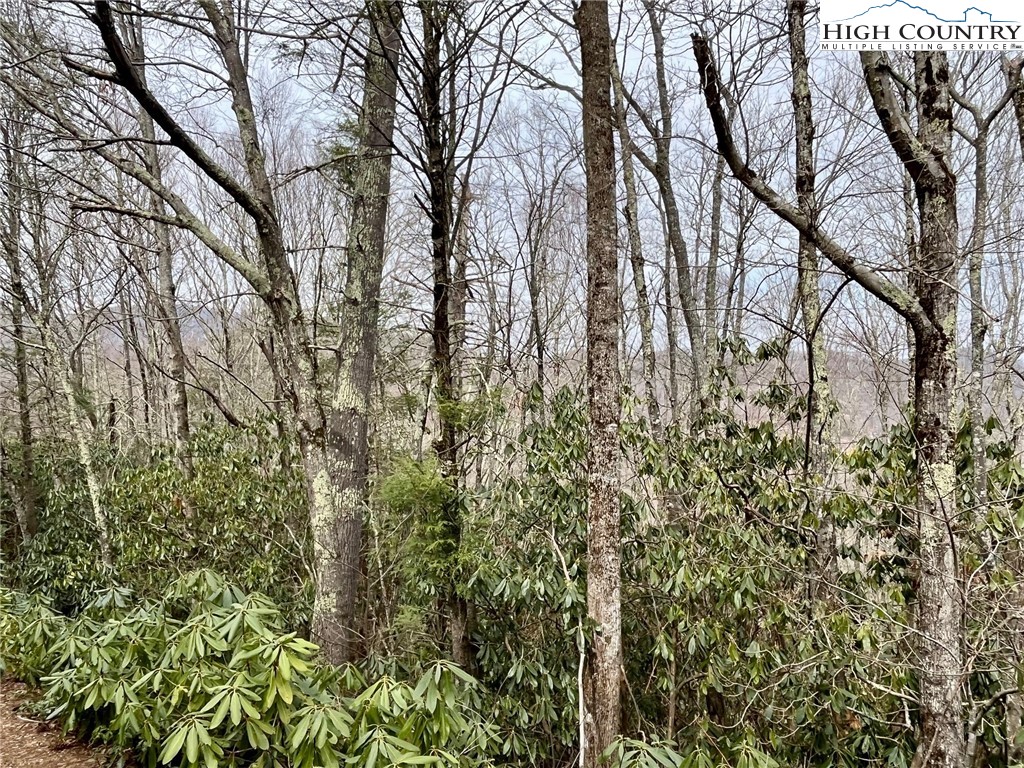 Tbd Chestnut Mountain Road Property Photo 8