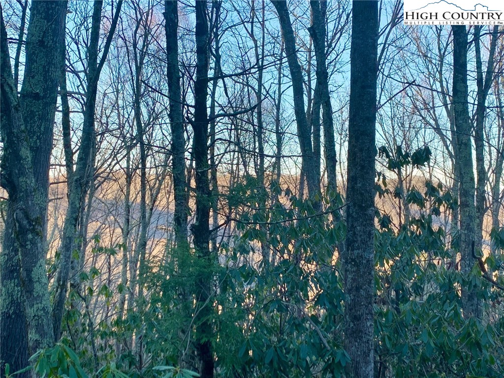 Tbd Chestnut Mountain Road Property Photo 10