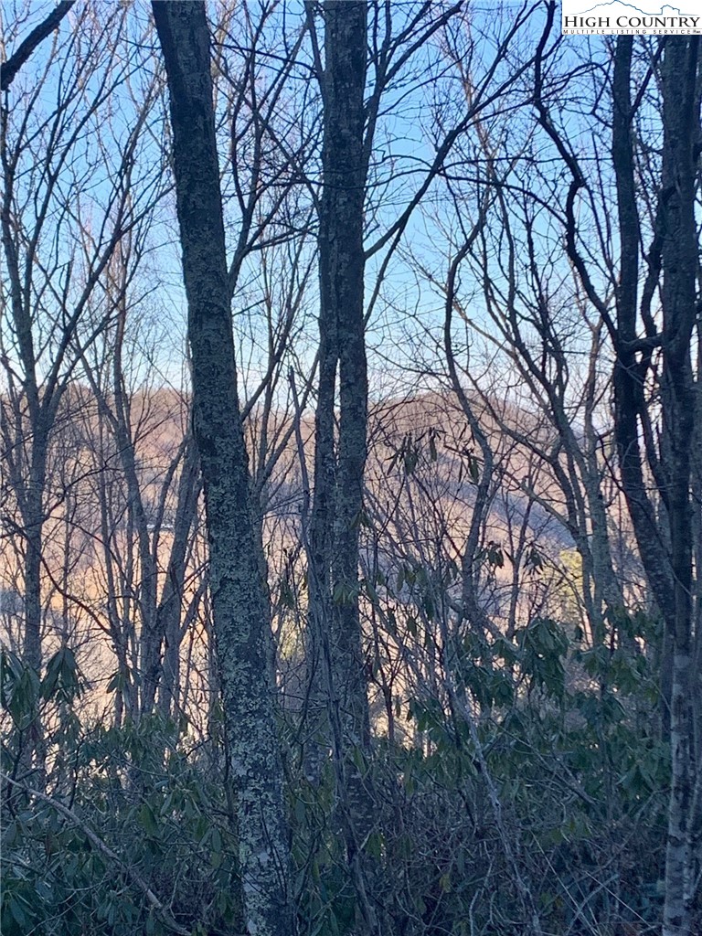 Tbd Chestnut Mountain Road Property Photo 12