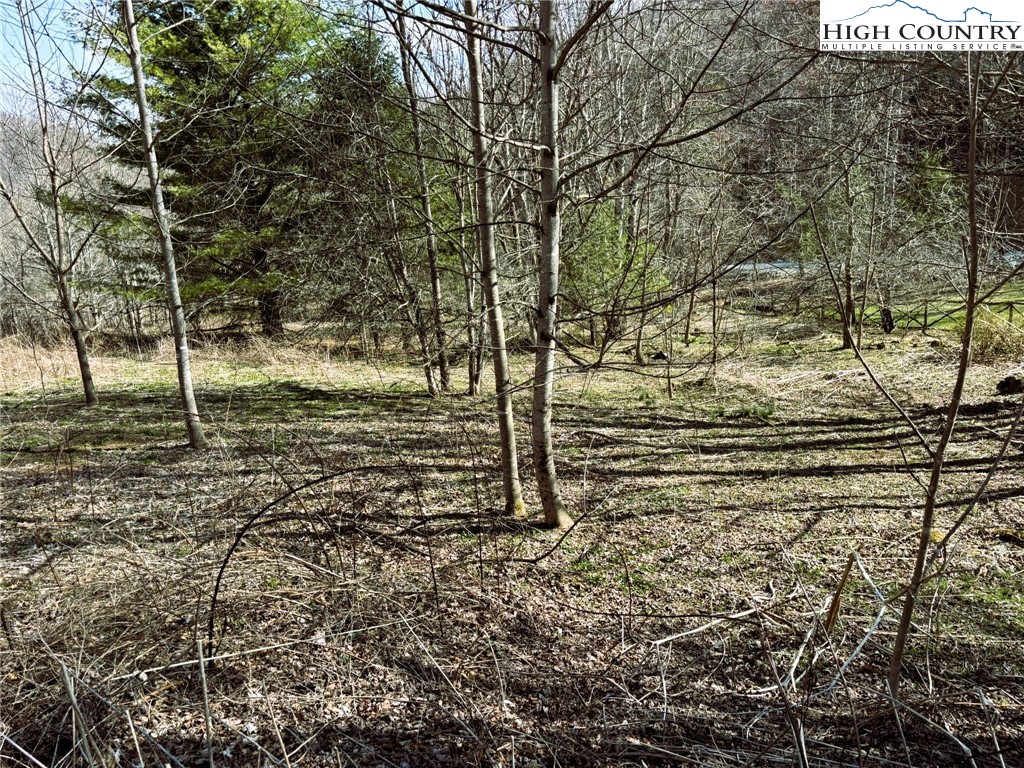 Lot 3 Larkspur Trail Property Photo 2