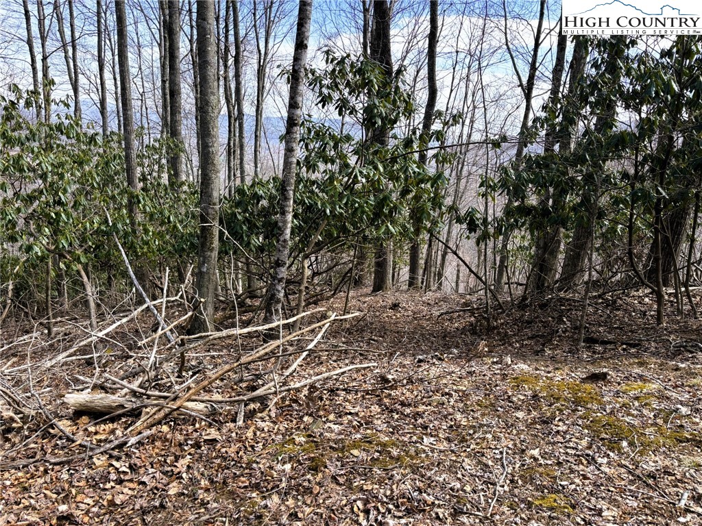 Lot 14 Larkspur Trail Property Photo 4