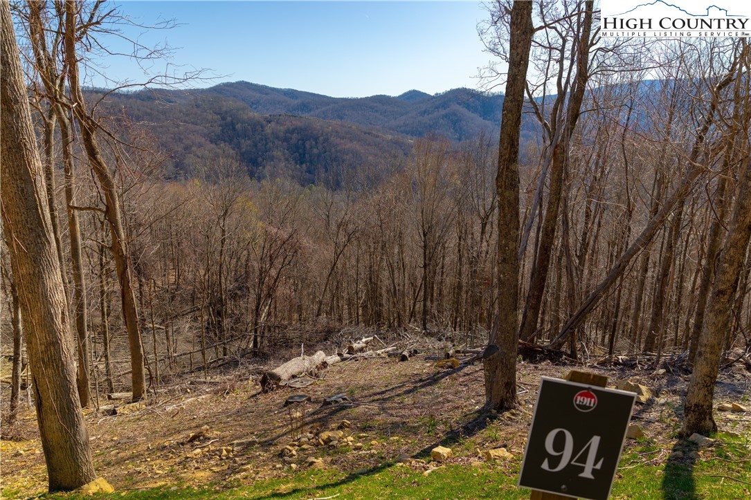 Lot 94 Bear Paw Road Property Photo 1