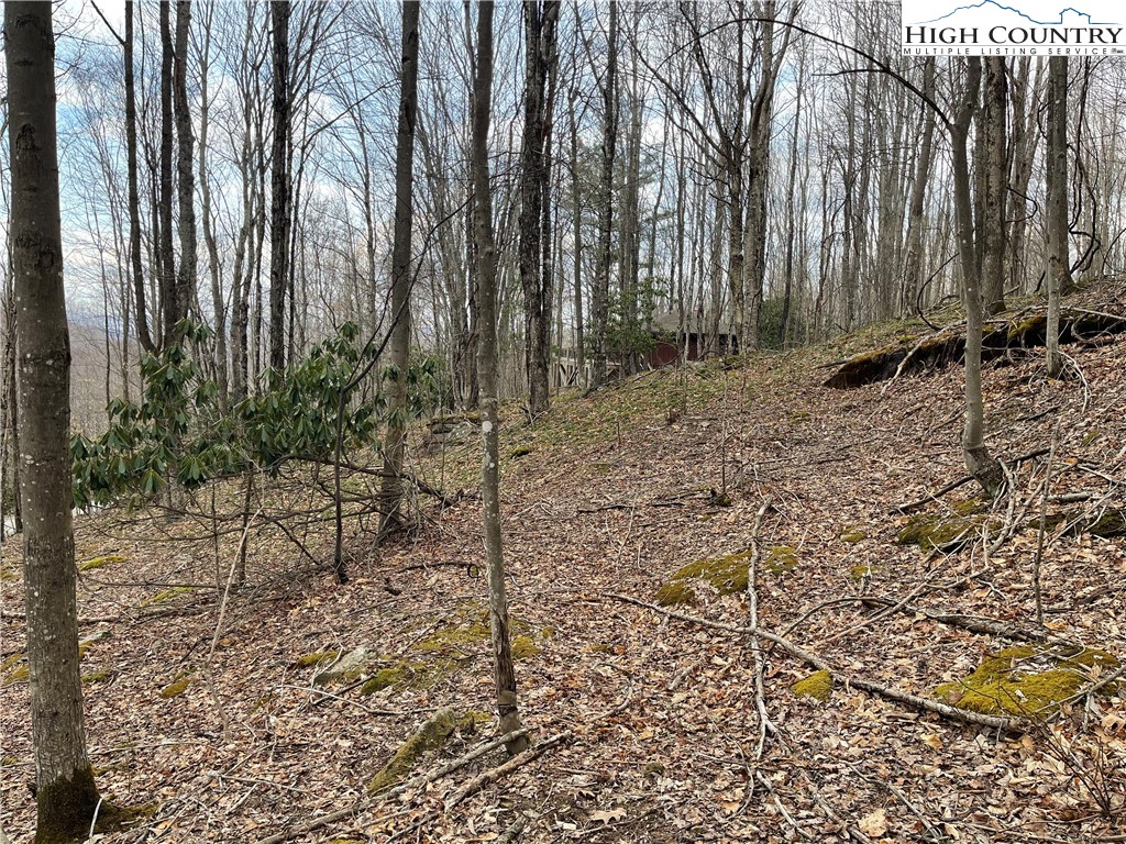 100 Fireweed Lane Property Photo 2