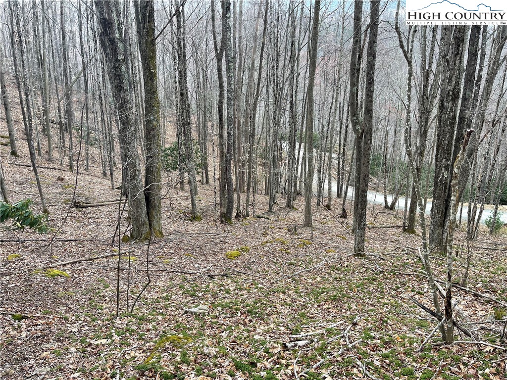 100 Fireweed Lane Property Photo 4