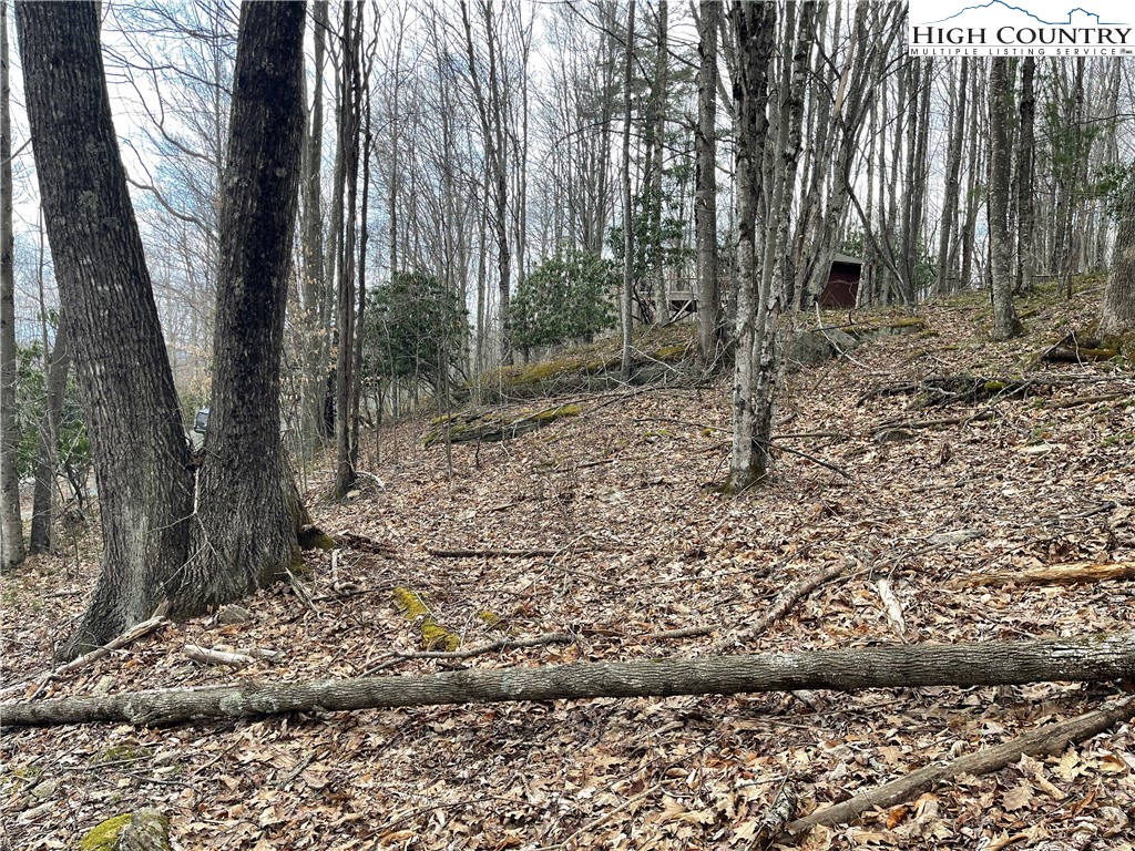 100 Fireweed Lane Property Photo 5