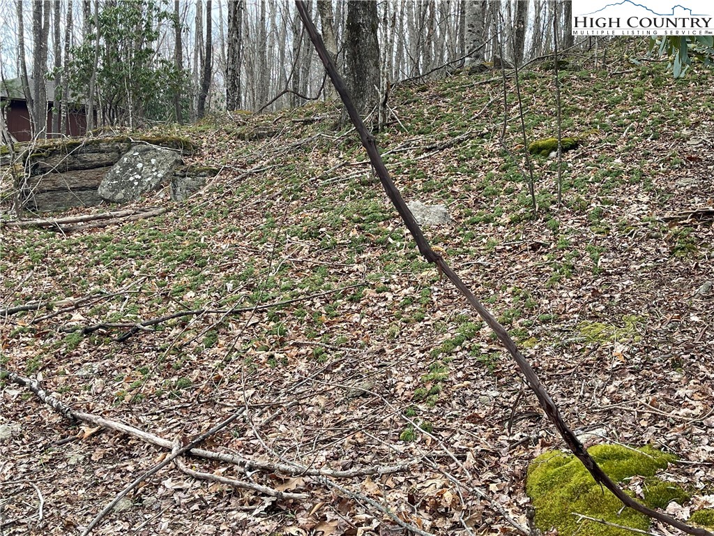 100 Fireweed Lane Property Photo 6