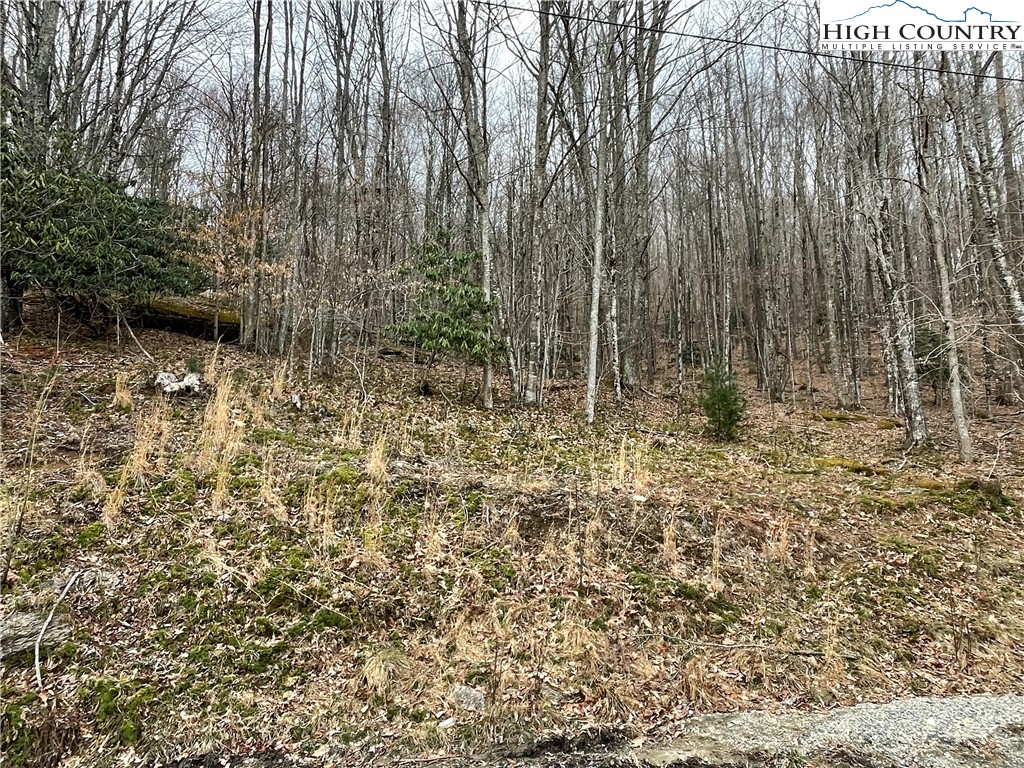 100 Fireweed Lane Property Photo 7