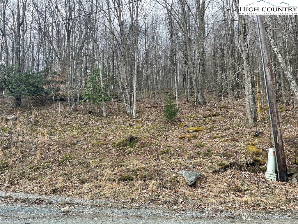 100 Fireweed Lane Property Photo 8