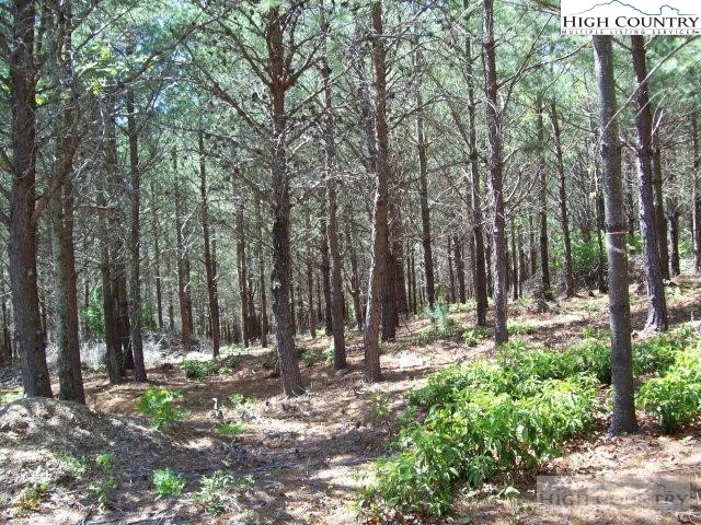 1552 Bear Cliff Drive Lake Property Photo 2